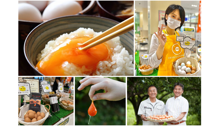 Japanese egg over rice research institute สถาบันวิจัยข้าวตอกไข่ไก่ในญี่ปุ่น