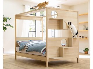 บริษัทญี่ปุ่นเปิดตัวเตียงนอนพร้อมหอคอยแมวในตัว