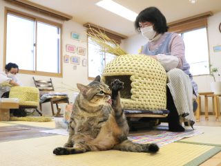 ญี่ปุ่นสาธิตการสานฟางให้เป็น “บ้านแมว”