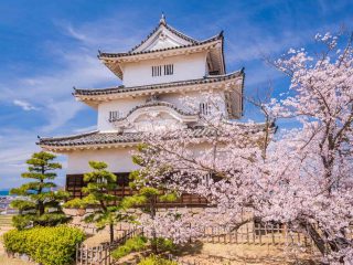 ปราสาทญี่ปุ่นเปิดให้เข้าพักในบริเวณปราสาทพร้อมเรียนวัฒนธรรมญี่ปุ่น