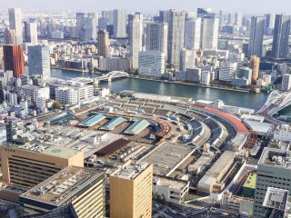 ญี่ปุ่นเตรียมเปลี่ยนตลาดปลาซึกิจิเป็นสนามกีฬา
